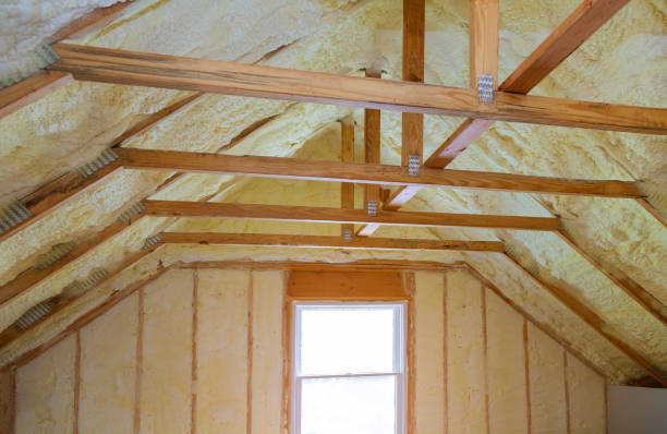 Best Cellulose Insulation in St Joseph, MO